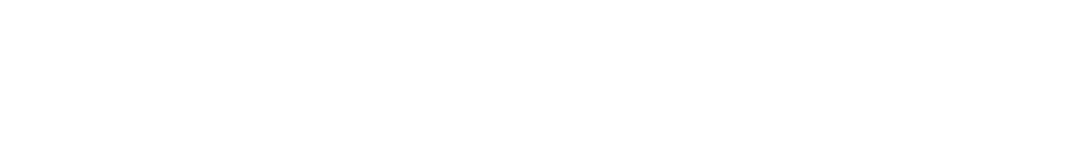 Fl logo color